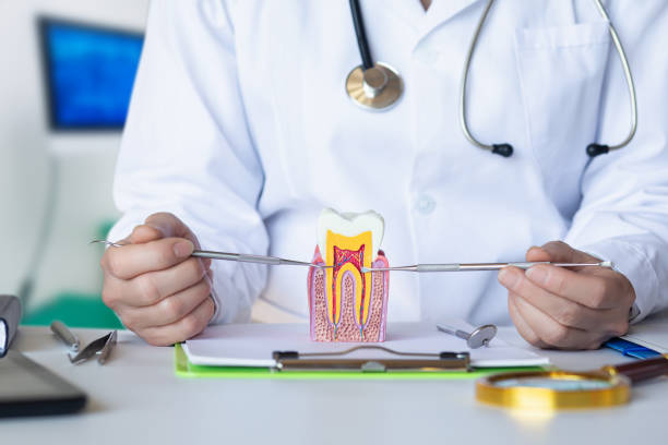Best Urgent Tooth Repair  in Luther, OK